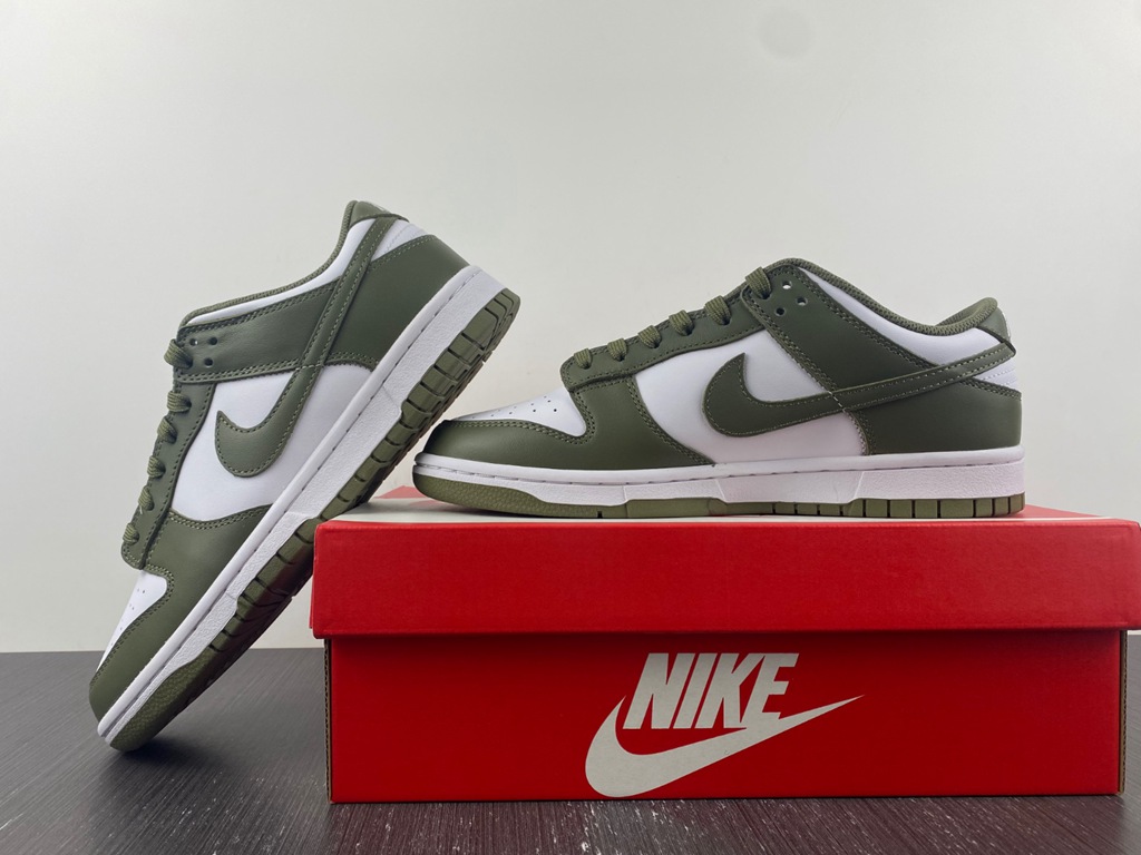 Dunk Low DD1503-120